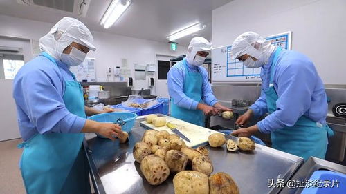 從“食育”到品質(zhì) 探秘日本中小學(xué)的營(yíng)養(yǎng)午餐之旅