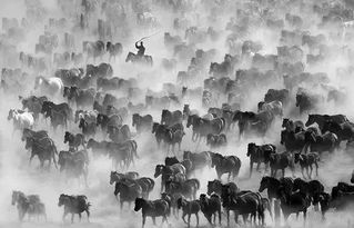 改革開(kāi)放 為梧州文藝與企業(yè)形象策劃開(kāi)啟新紀(jì)元